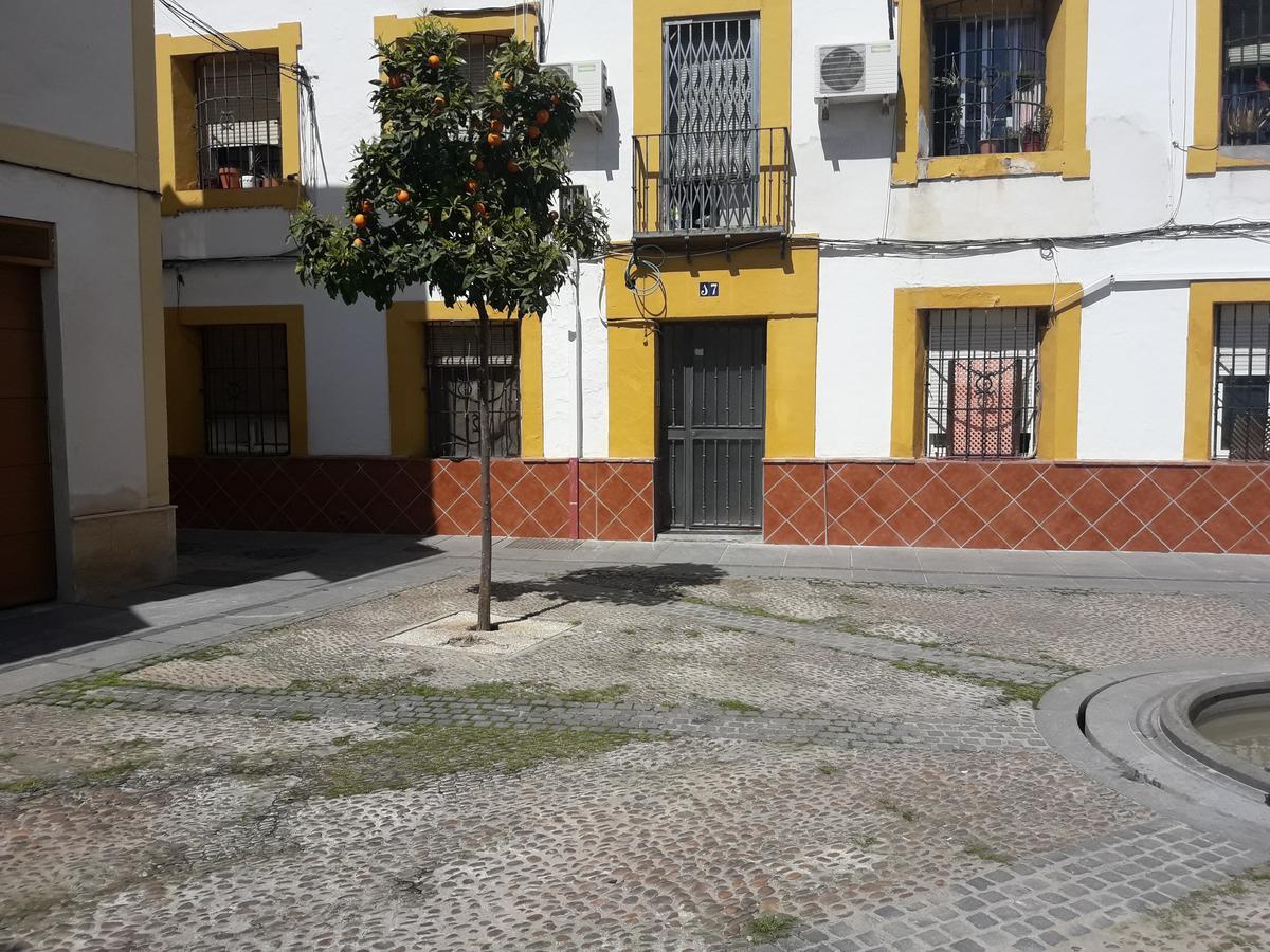 Sleep & Shower In A Typical District Córdoba Exteriör bild